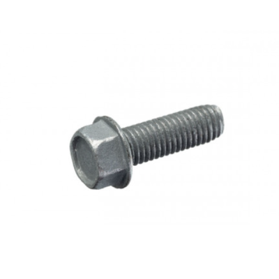 thread_Forming_screw_bolt_Galvanized4